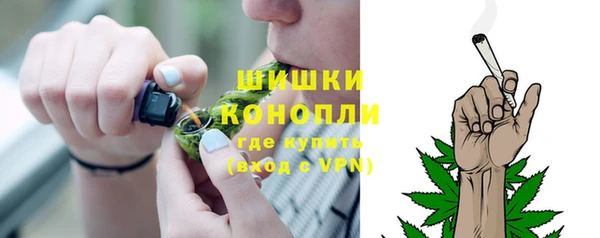 ешки Вяземский